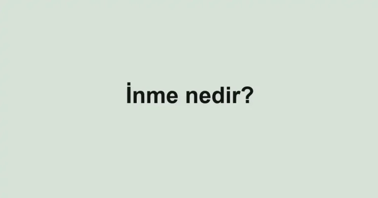 inme-nedir-2